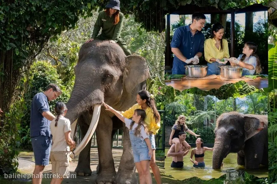 Elephant Wellness Walk + Lake Bathe Tour Bali 1