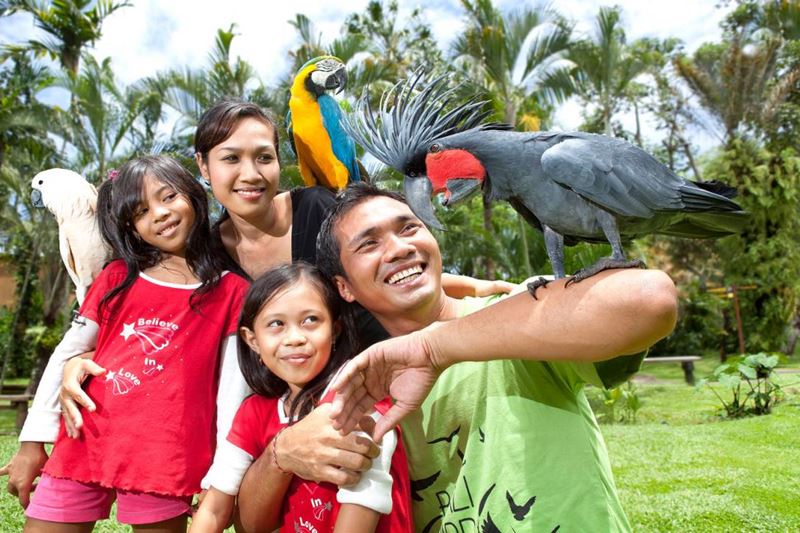 Bathing Elephant + Bali Bird Park Tour 4