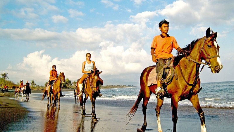 Hand Washing The Elephant + Horse Ride Bali Tour 7