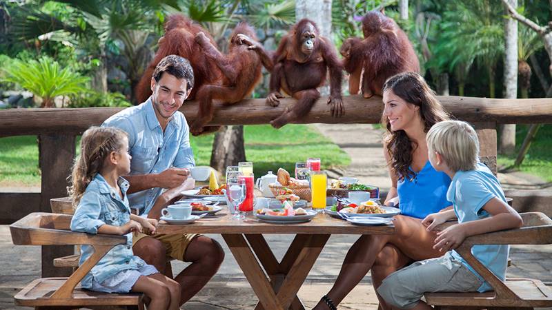 Hand Washing The Elephant + Breakfast with Orangutan Tour 3