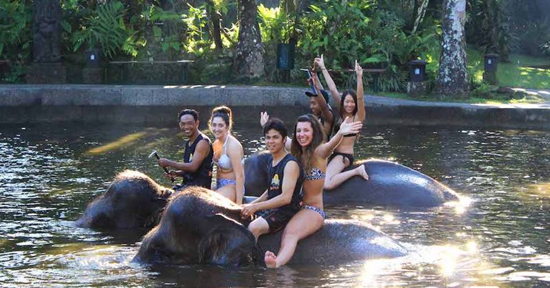 bathing elephant 7