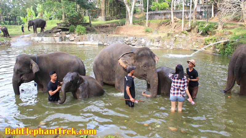 Preparation for Adventuring in Bali Wildlife Park 2