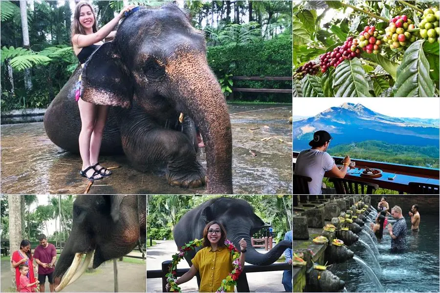 Bali Bathing Elephant Combination Super Deals Tour 1