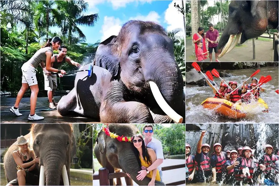 Bali Bathing Elephant Combination Super Deals Tour 2