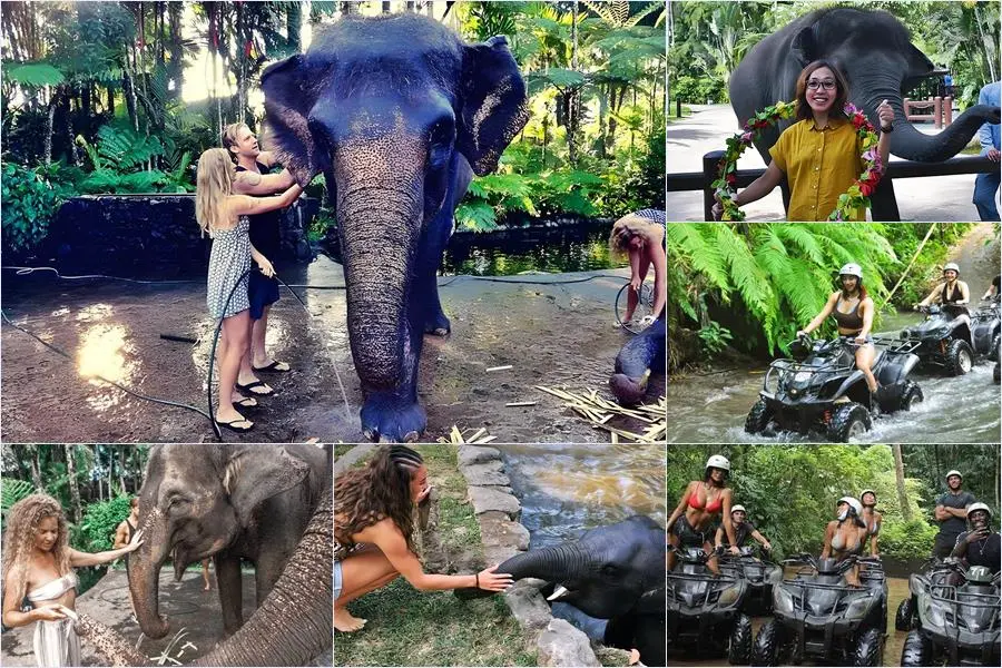Bathing Elephant + ATV Bali Tour 1