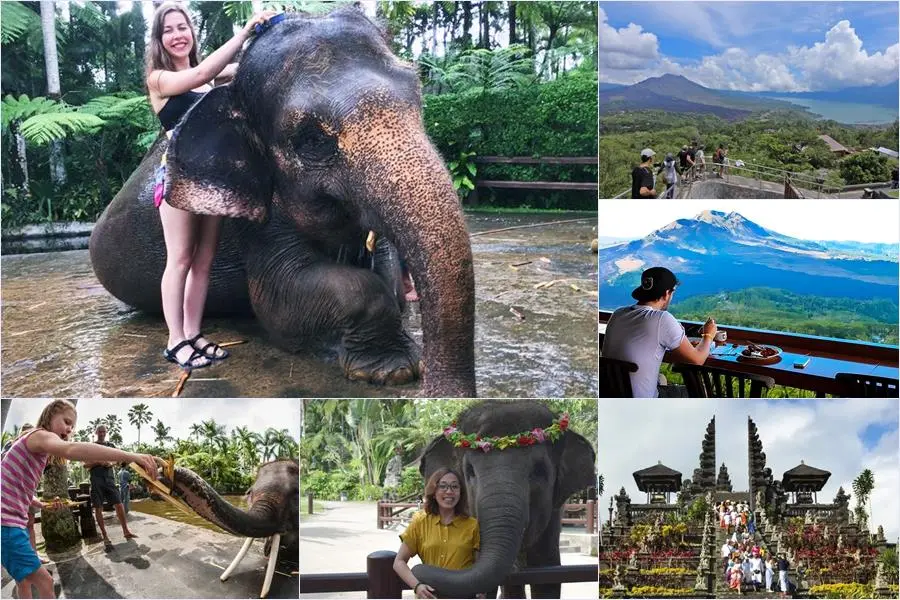 Bali Bathing Elephant Combination Super Deals Tour 5