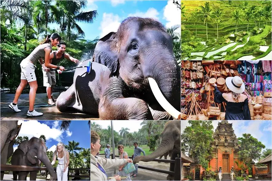 Bali Bathing Elephant Combination Super Deals Tour 6