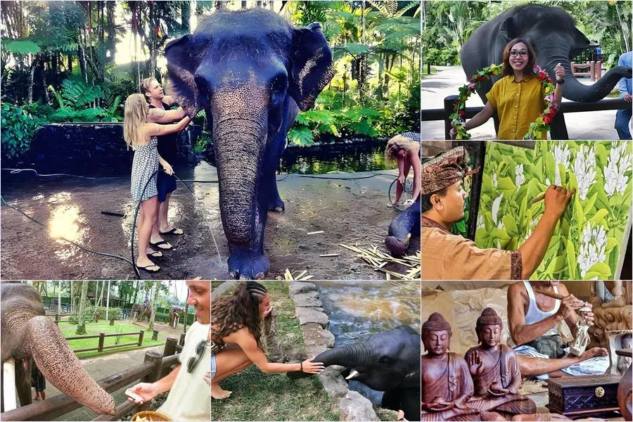 Bali Bathing Elephant Combination Super Deals Tour 7