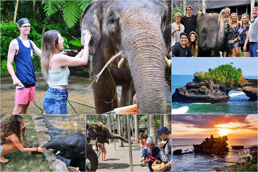 Bali Bathing Elephant Combination Super Deals Tour 8