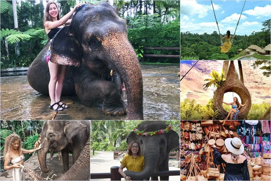 Bathing Elephant + Swing Ubud Tour 1