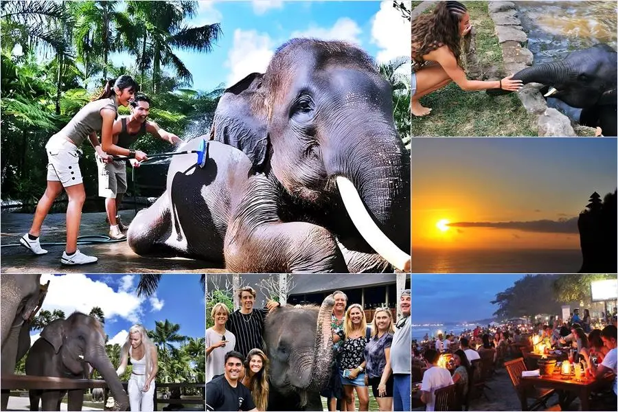 Bali Bathing Elephant Combination Super Deals Tour 10