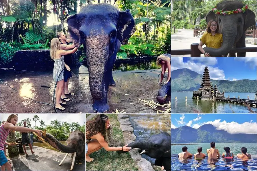Bali Bathing Elephant Combination Super Deals Tour 11