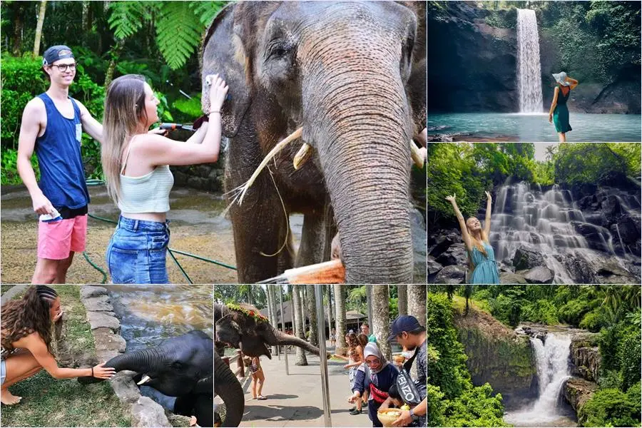 Bali Bathing Elephant Combination Super Deals Tour 12