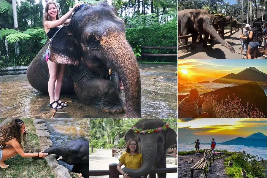 Bali Bathing Elephant Combination Super Deals Tour 13