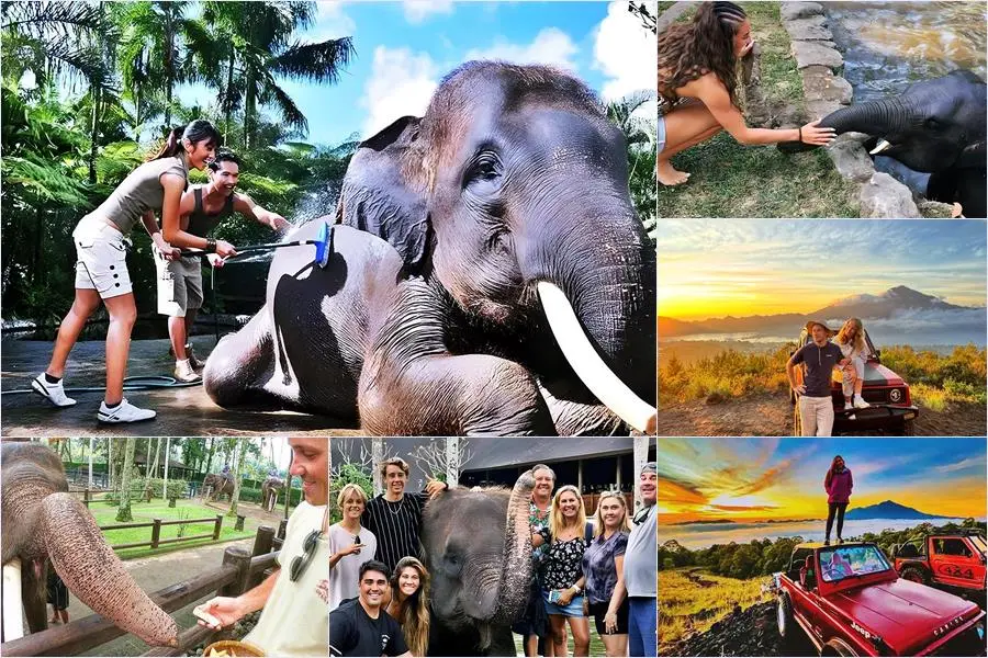 Bali Bathing Elephant Combination Super Deals Tour 14