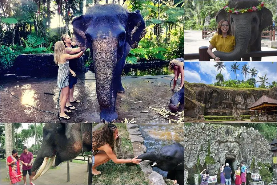 Bali Bathing Elephant Combination Super Deals Tour 15