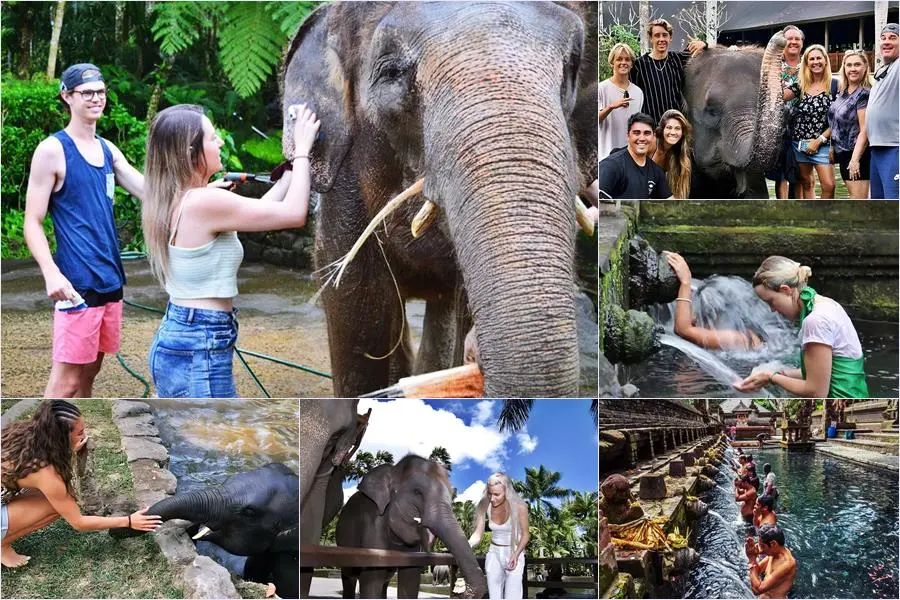 Bali Bathing Elephant Combination Super Deals Tour 16