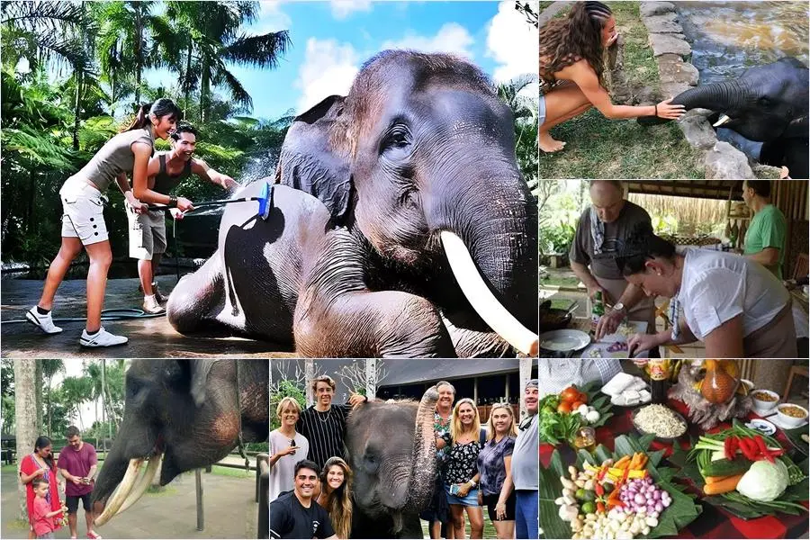 Bali Bathing Elephant Combination Super Deals Tour 18