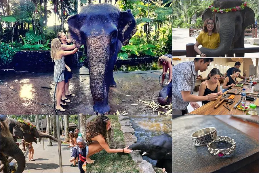 Bali Bathing Elephant Combination Super Deals Tour 19