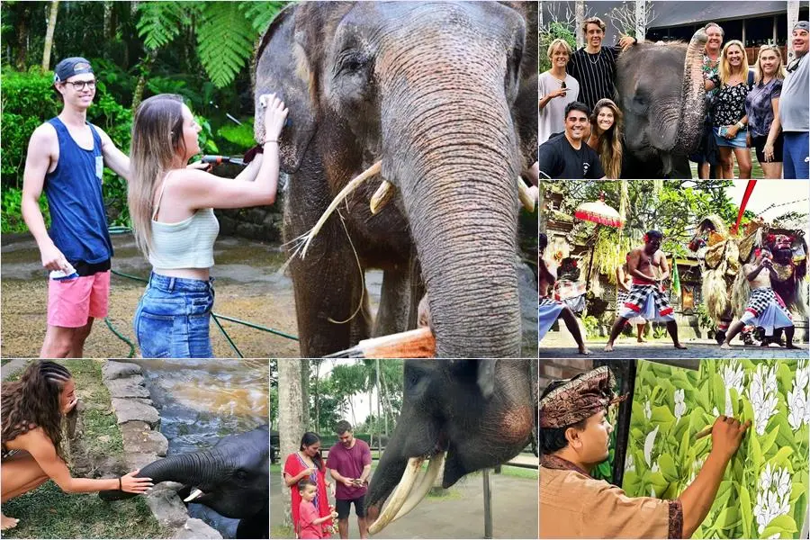 Bali Bathing Elephant Combination Super Deals Tour 20
