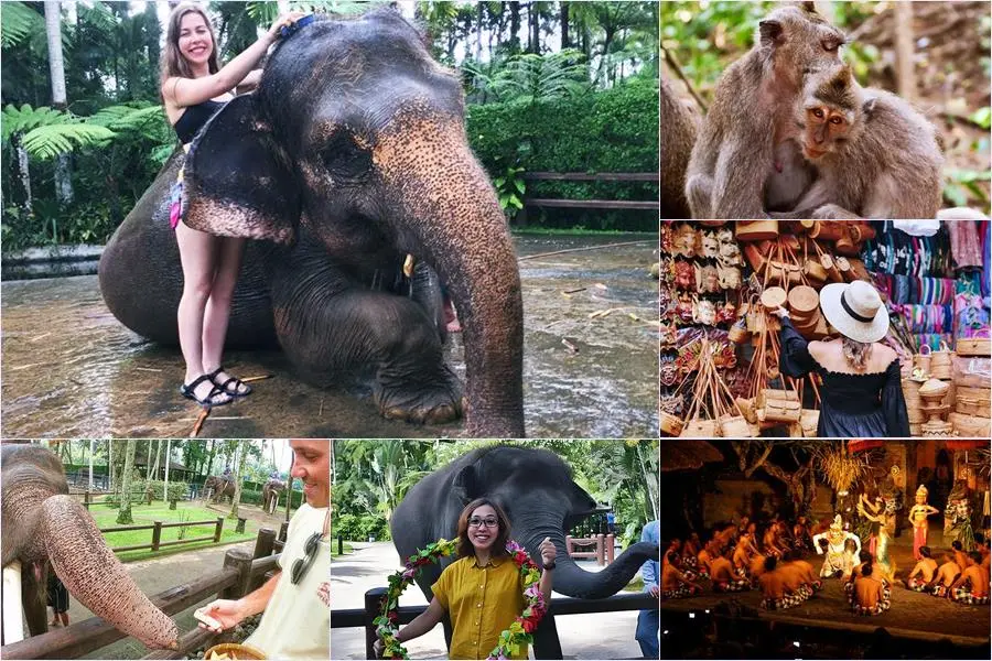 Bali Bathing Elephant Combination Super Deals Tour 21