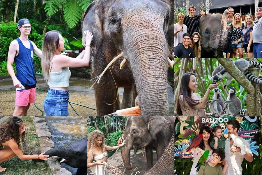 Bali Bathing Elephant Combination Super Deals Tour 24