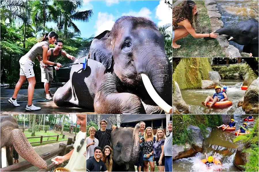 Bali Bathing Elephant Combination Super Deals Tour 26