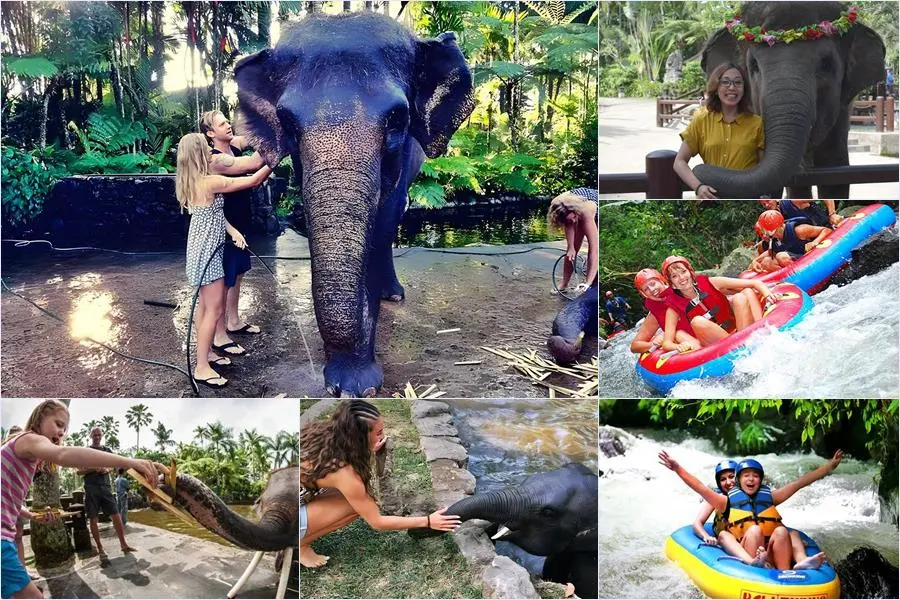 Bali Bathing Elephant Combination Super Deals Tour 27