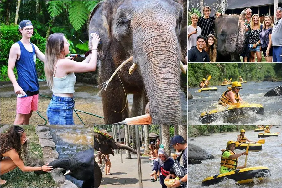 Bali Bathing Elephant Combination Super Deals Tour 28