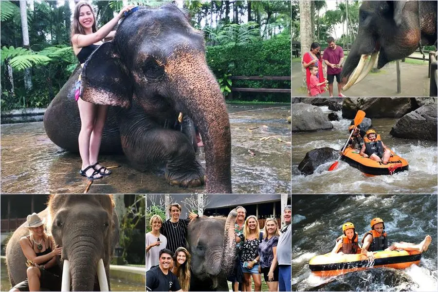 Bali Bathing Elephant Combination Super Deals Tour 29