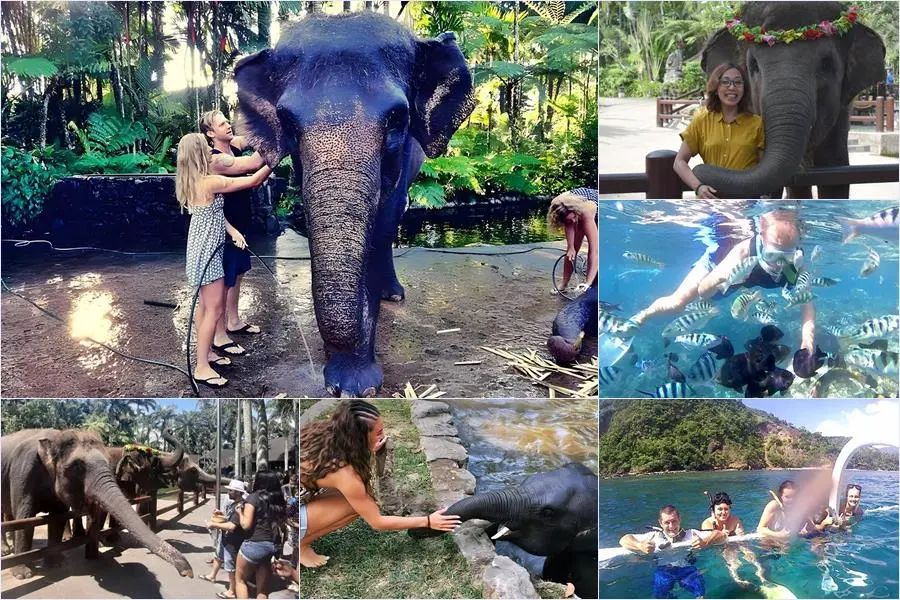 Bathing Elephant + Blue Lagoon Snorkeling Tour 1