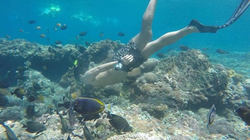 Hand Washing The Elephant + Blue Lagoon Snorkeling Tour 8
