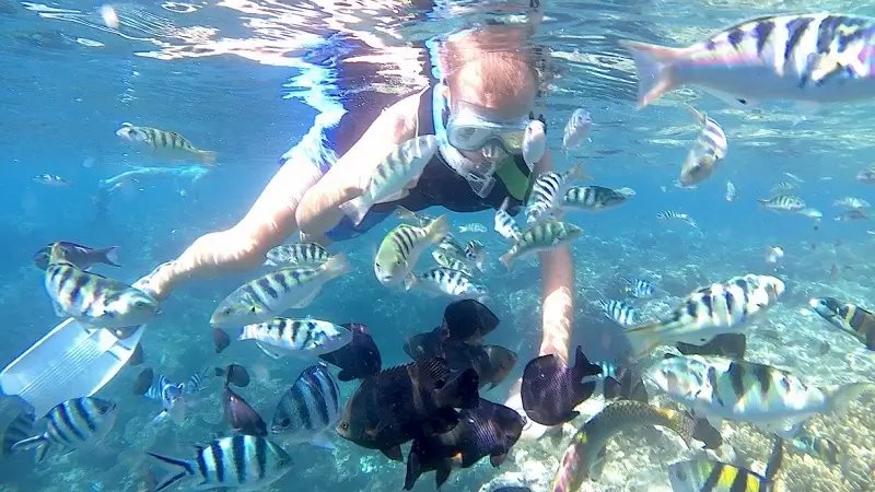 Hand Washing The Elephant + Blue Lagoon Snorkeling Tour 4