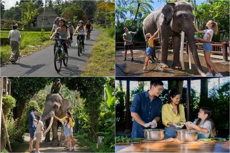 Mason Adventures Combo Packages 20