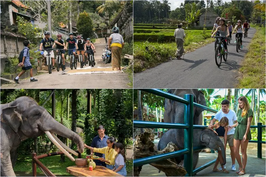 Mason Adventures Combo Packages 11