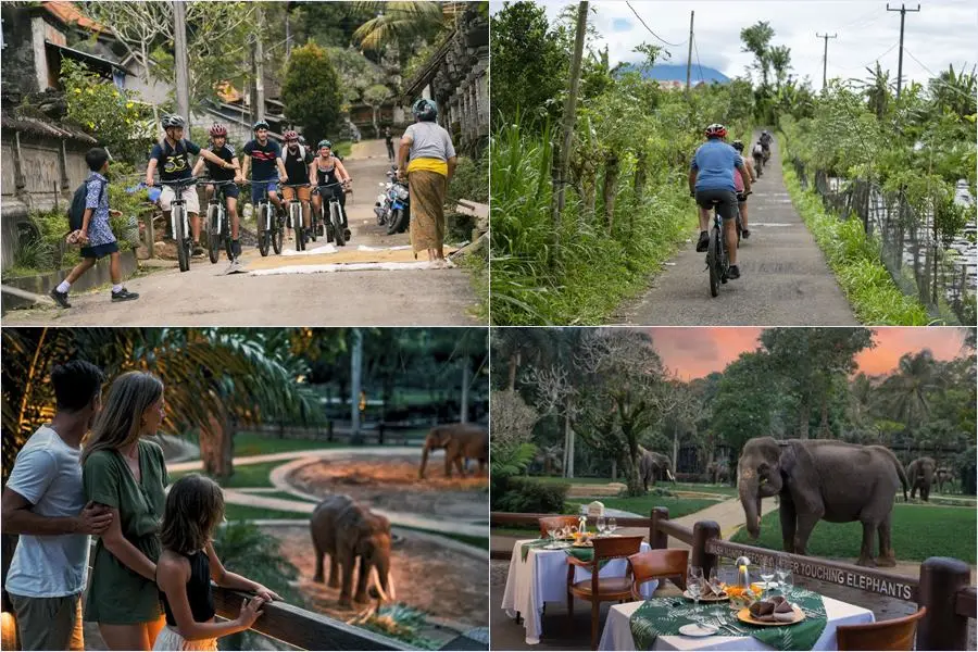 Mason Adventures Combo Packages 14