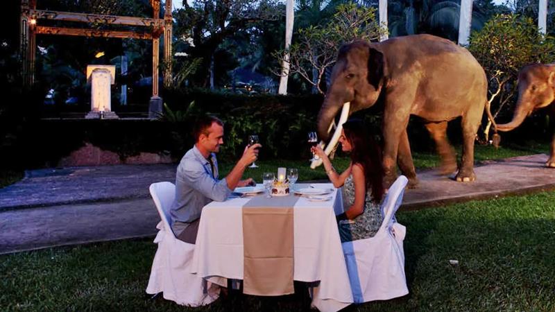 Bali Cycling & Sunset Elephant Tour 10