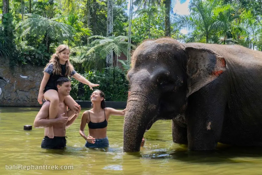 Wash & Bathe Elephant Tour with Lunch 5