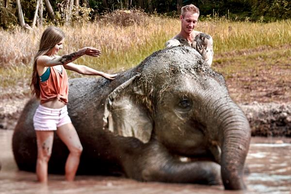 Amazing Bali Zoo Elephant Mud Fun 2023 8