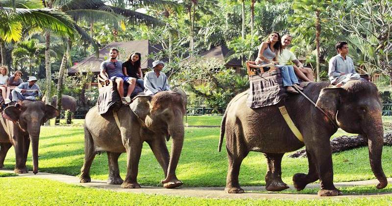 Bathing Elephant + ATV Bali Tour 6