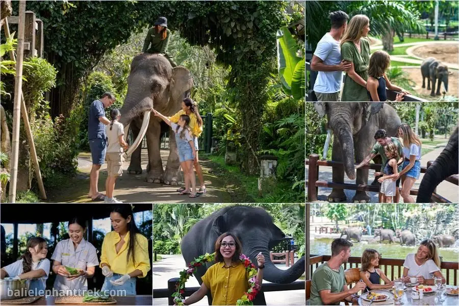 Elephant Wellness Walk Tour Bali 1