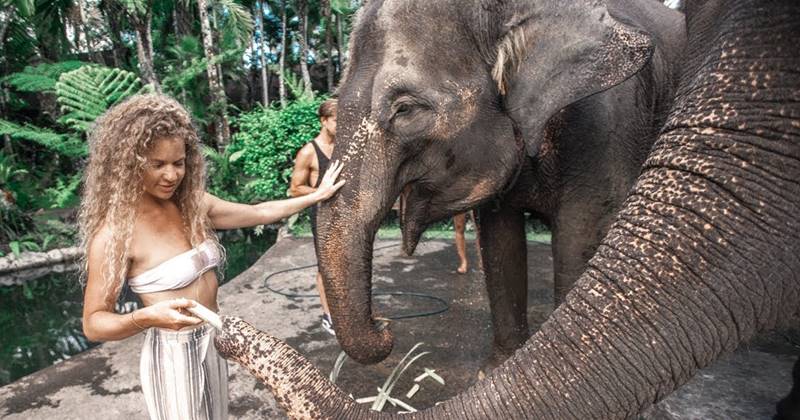 Bathing Elephant + Swing Ubud Tour 5