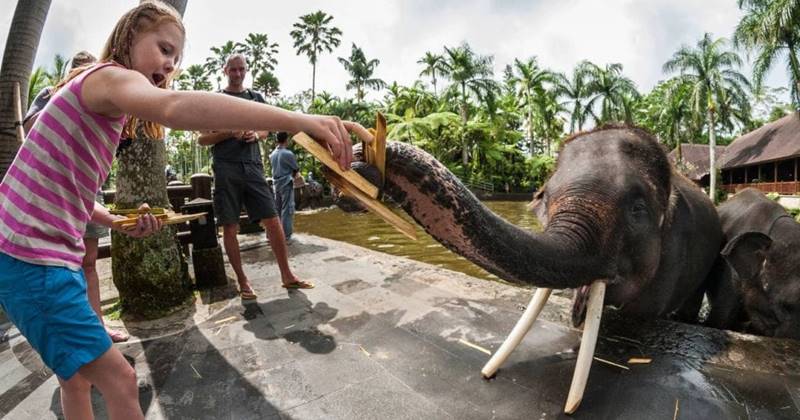 Hand Washing The Elephant + Arts Village Tour 6
