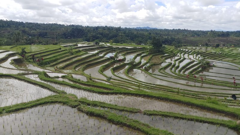 Popular Bali Tour Packages 6