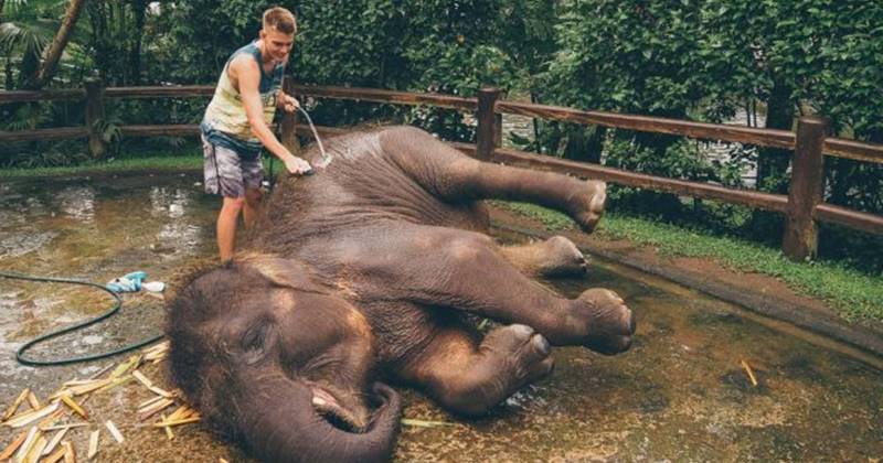 Hand Washing The Elephant + Mother Temple Tour 3