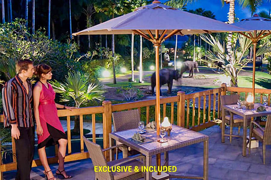 Mason Elephant Experience + Lodge 5