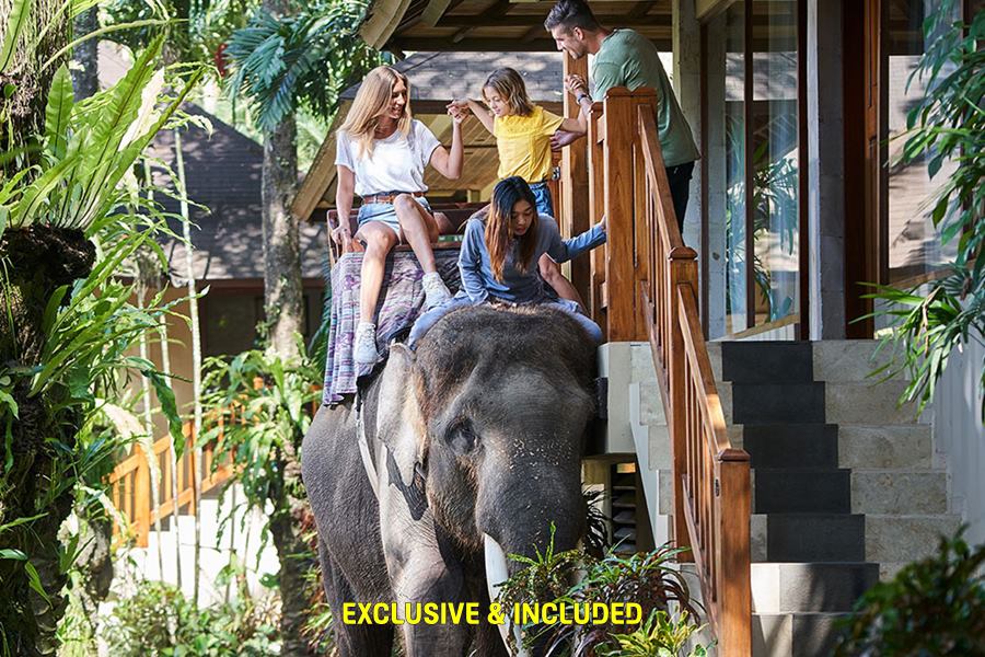 Mason Elephant Experience + Lodge 1