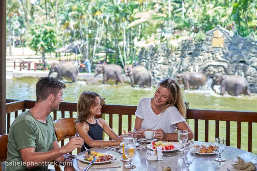 Elephant Wellness Walk Tour Bali 12