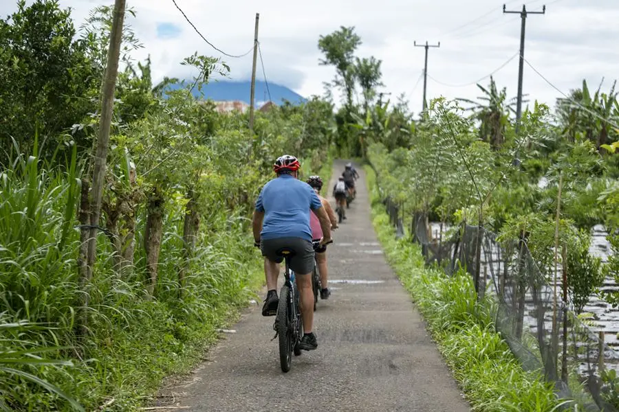 Bali Cycling & Sunset Elephant Tour 3