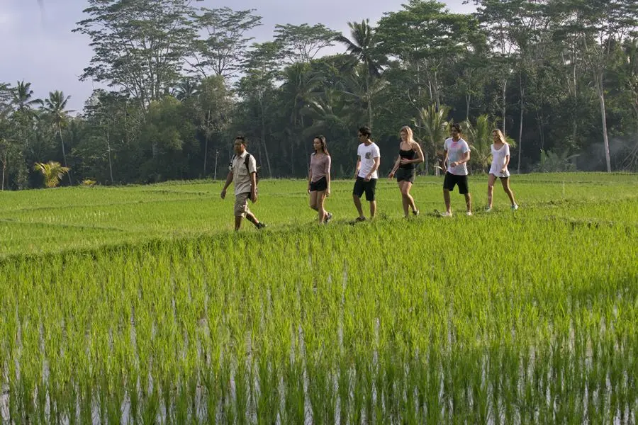 Bali Trekking & Elephant Park Visit 8